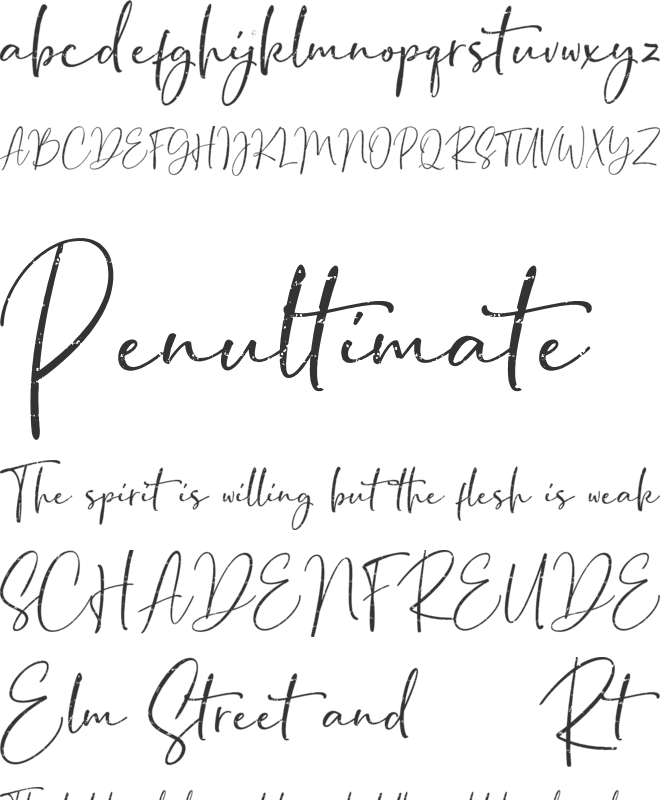 Bondi Sans DEMO Rough font preview