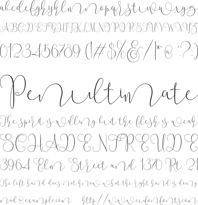 Mallow Script font preview