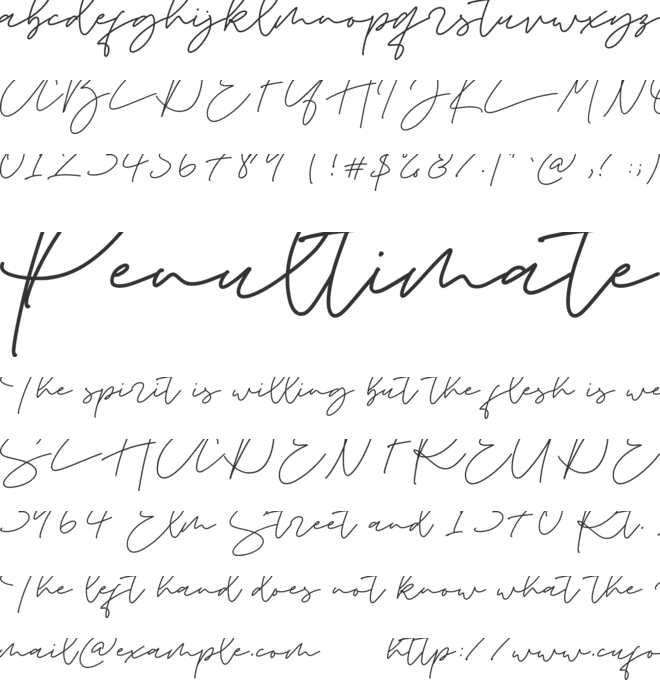 La storia -Demo- font preview