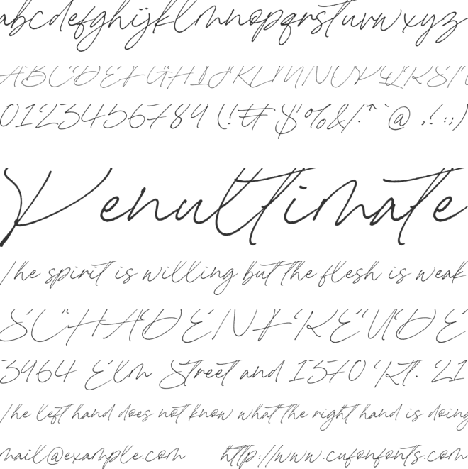 Carneys Gallery Script Demo Ver font preview