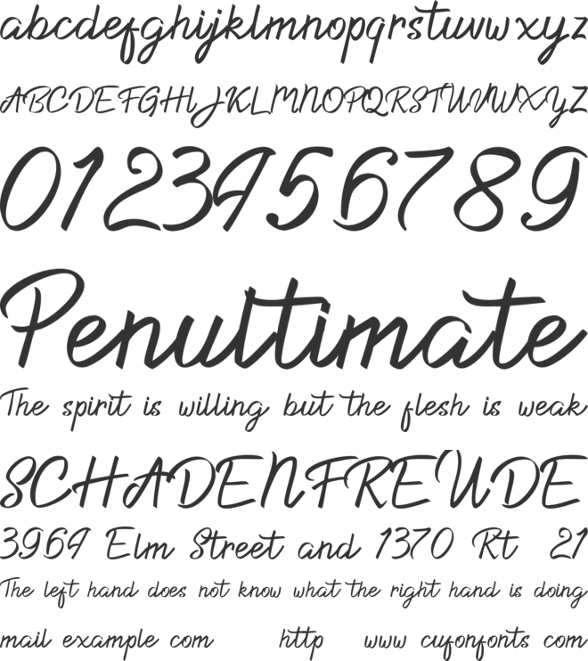 Dacilla Script Demo font preview