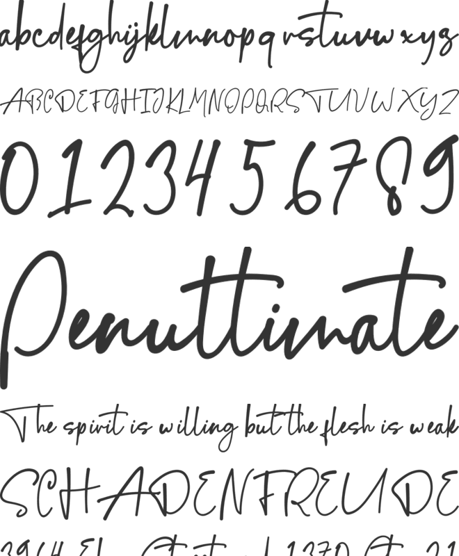 Bigfish font preview