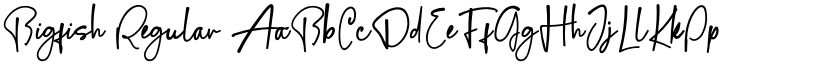 Bigfish Regular font