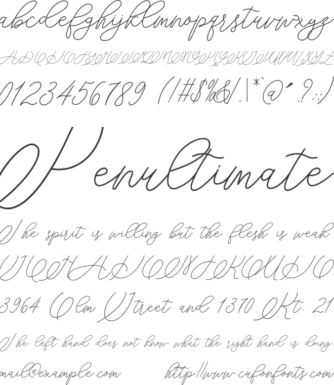 mondayline font preview
