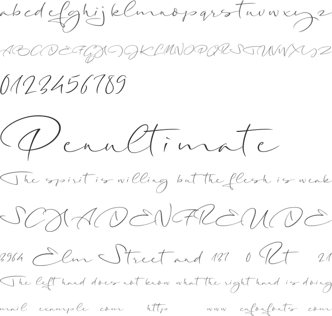 Long Night Demo font preview