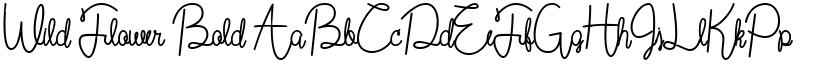 Wild Flower Bold font