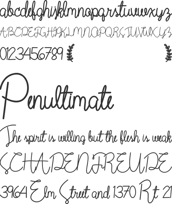 Wild Flower font preview