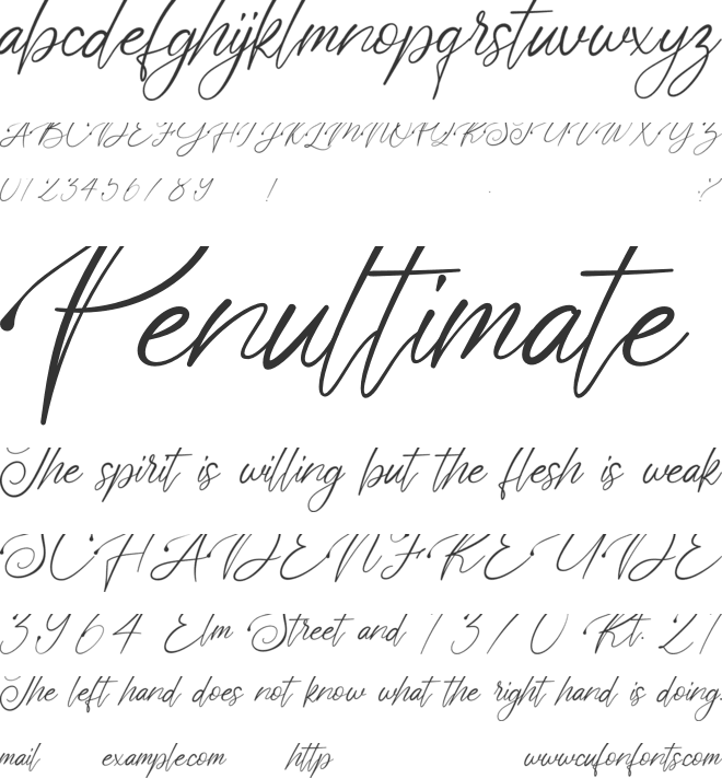 Polarise font preview