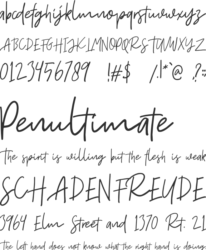 Fort Collins Script DEMO font preview