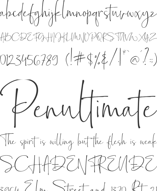 Bollivia Rosilla Script font preview