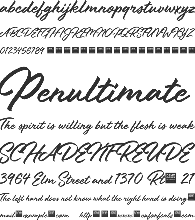 Stay Fresh - Demo font preview