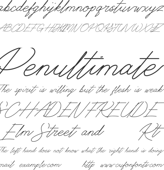 Digital Signature font preview