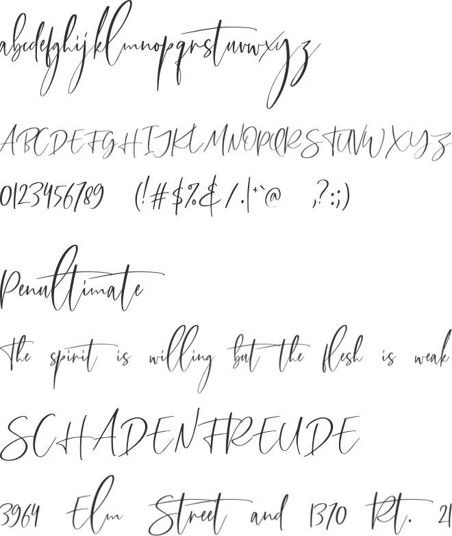 Callistera Script Free font preview