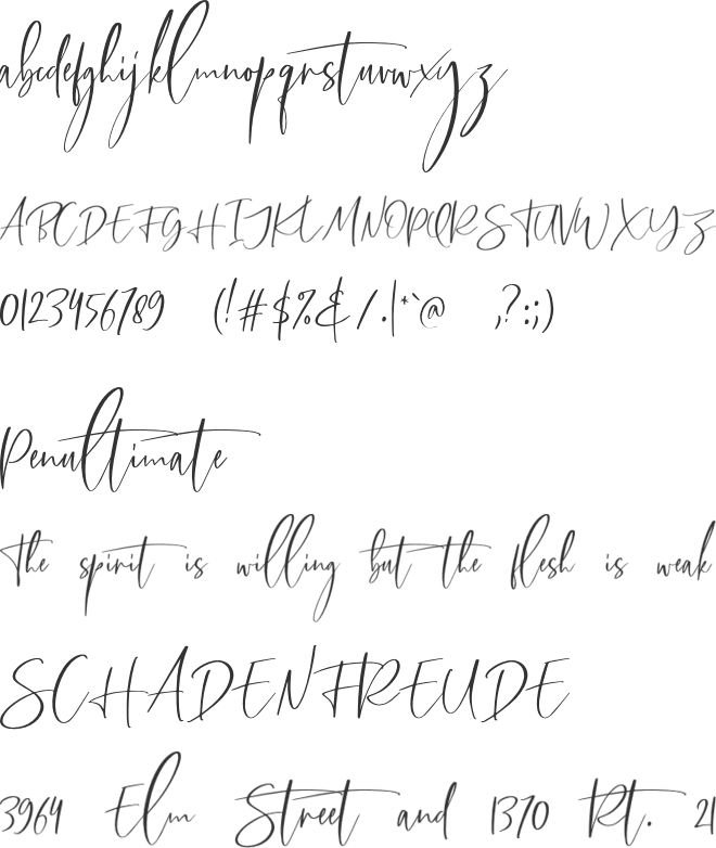 Callistera Script Free font preview