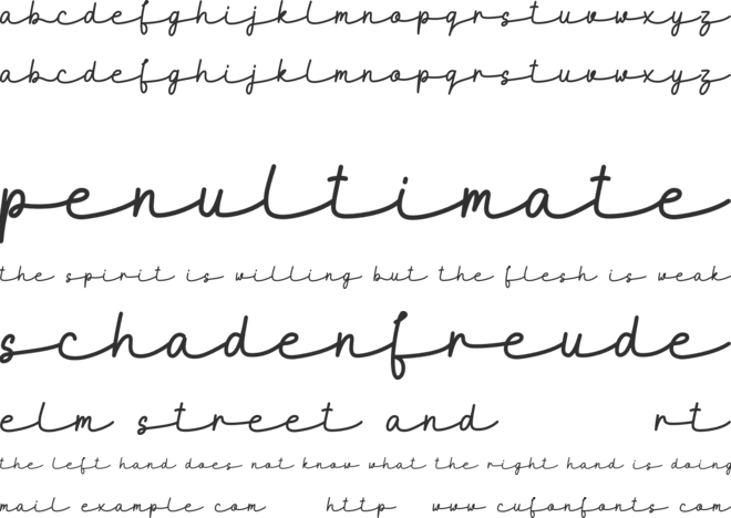 MaidenhairDEMO font preview