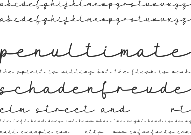 MaidenhairDEMO font preview