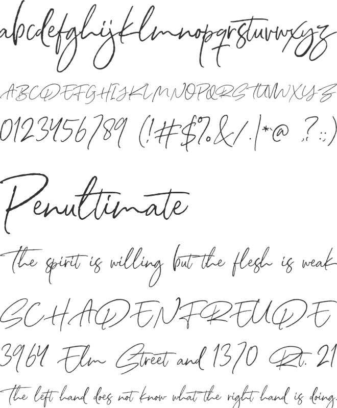 North Avellion DEMO font preview