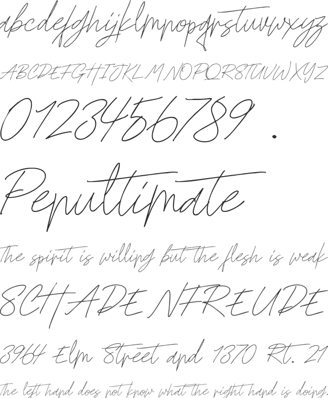 Godwit Signature DEMO font preview