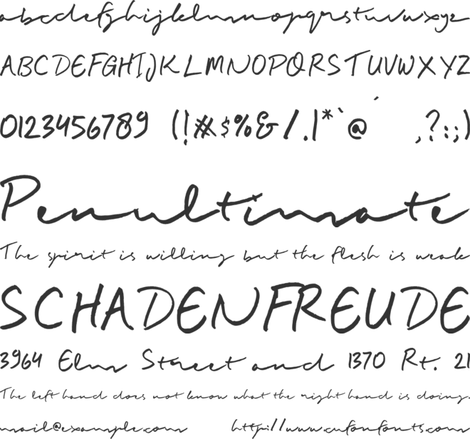 Buadly Signature font preview