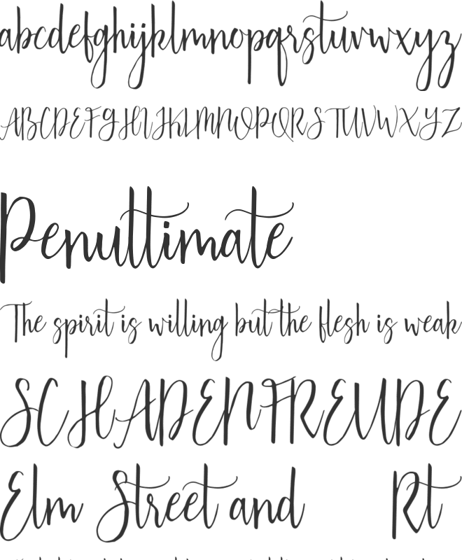 Australis font preview