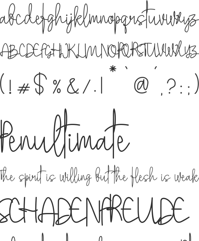 Stylistic Sign font preview