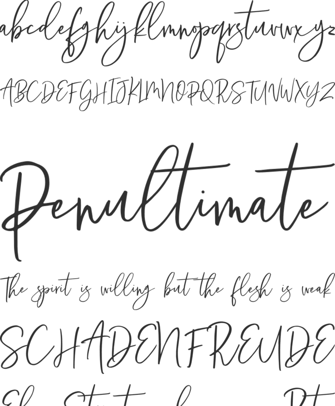 Sunydale demo font preview
