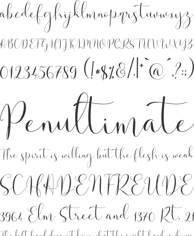 Solidar font preview