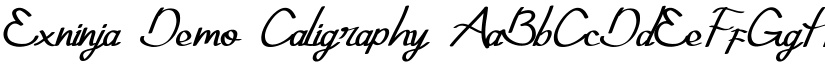 Exninja Demo font download