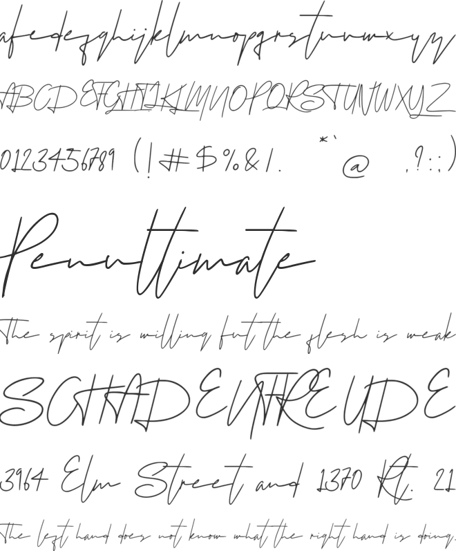 Hedland font preview