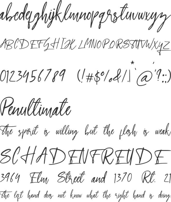Pontoise font preview