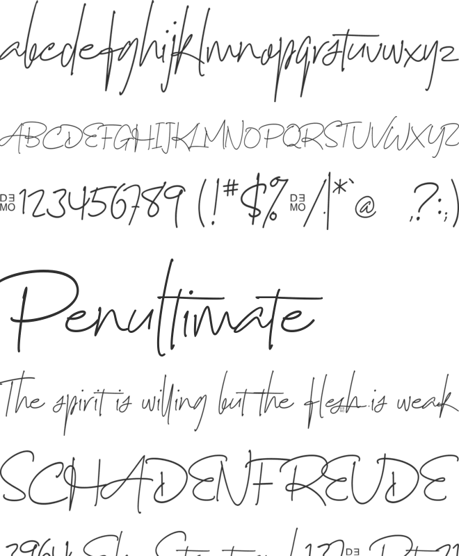 Nayla Signattures_DEMO font preview