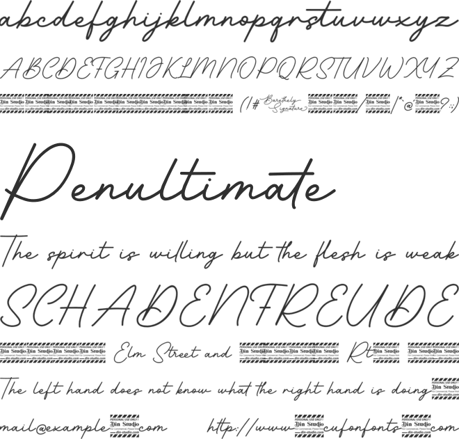 Barethelly Signature Personal Use font preview