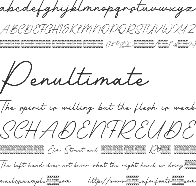 Barethelly Signature Personal Use font preview