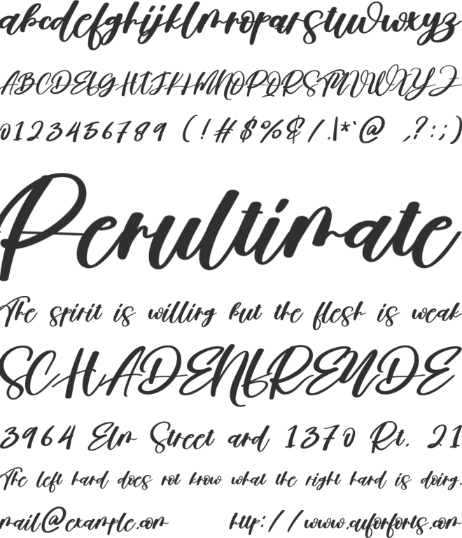 Wellove font preview