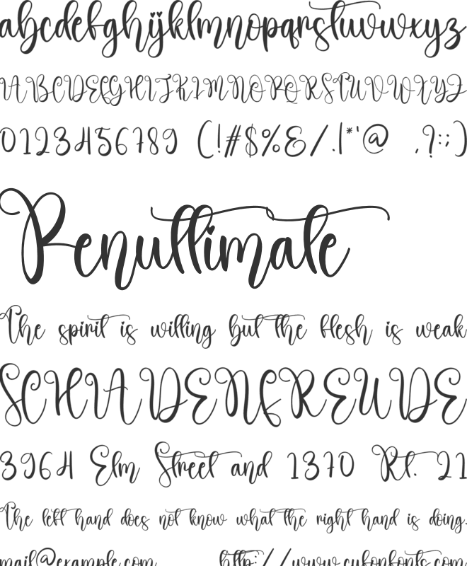 Pinkbird font preview