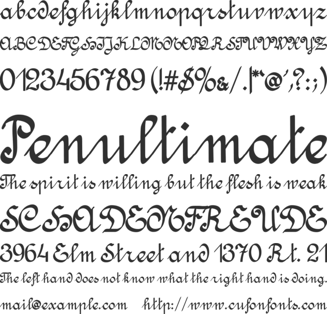 Amptmann Script font preview