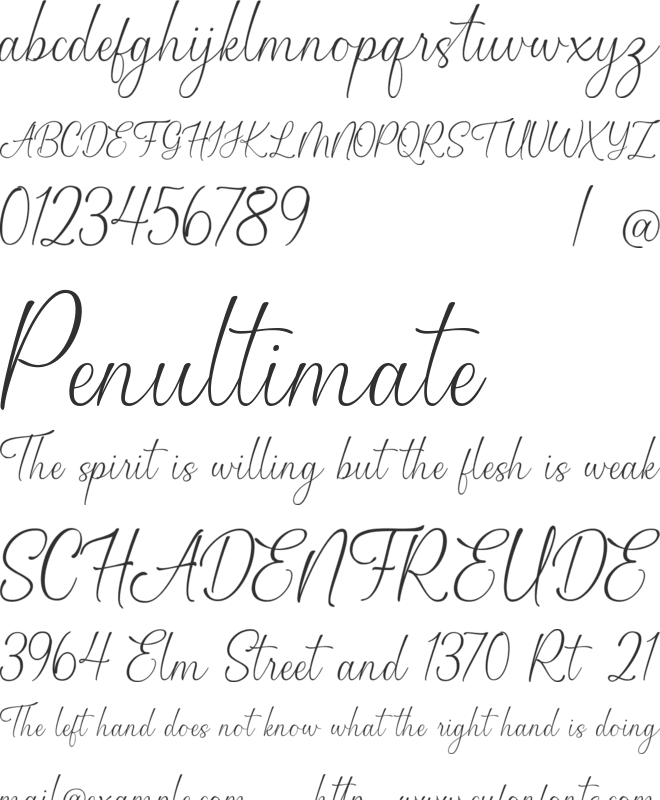 Modany font preview