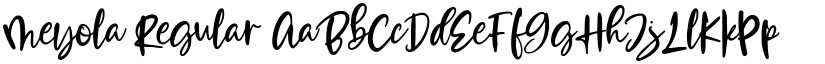 Meyola Regular font