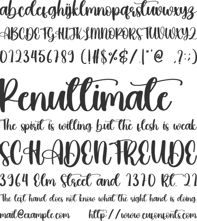 Onion font preview