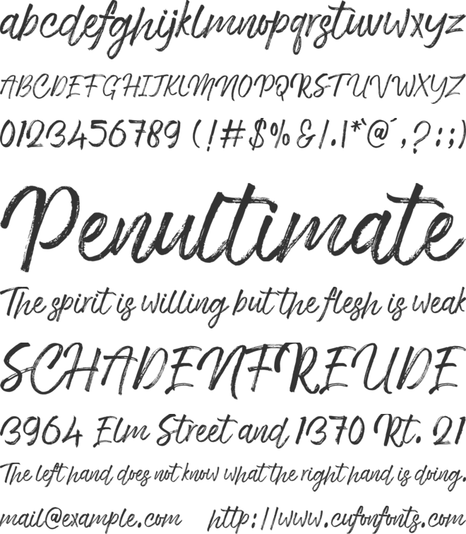 Choose Time font preview