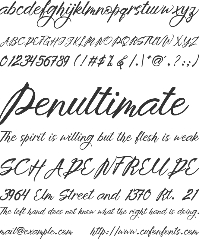 Brightime Script font preview