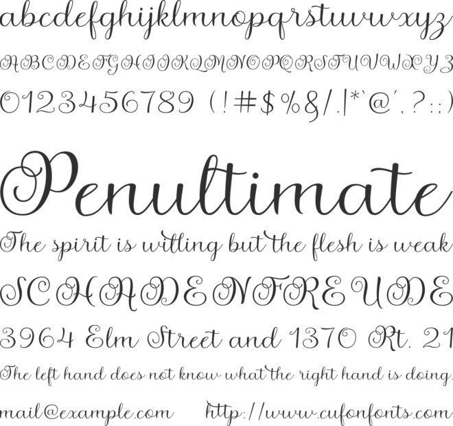 Agustin Script font preview