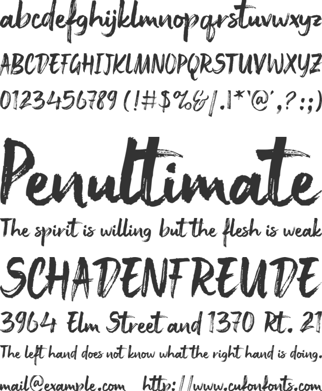 Besttia Brush font preview