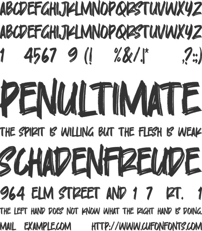 Skylarr Scott font preview