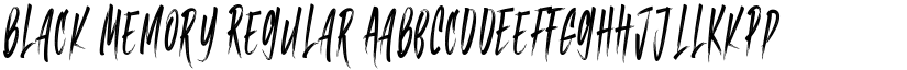 Black Memory Regular font