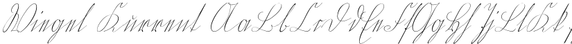 Wiegel Kurrent font