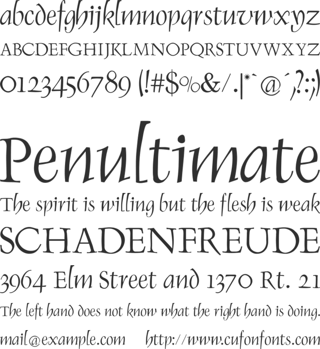Renaiss Italic font preview