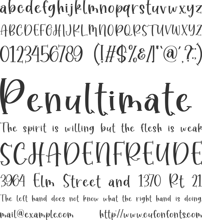 Wisebird font preview