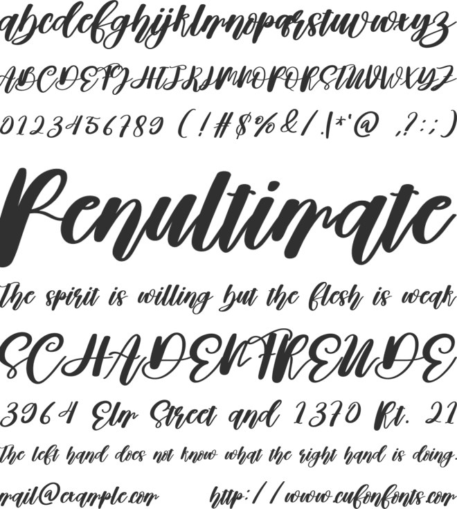 Pinkink font preview