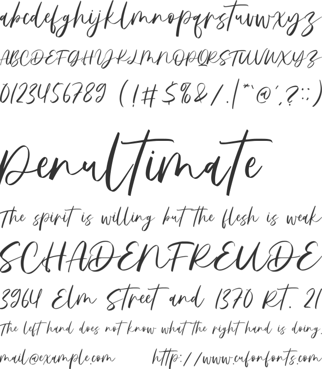 Balmacaan font preview